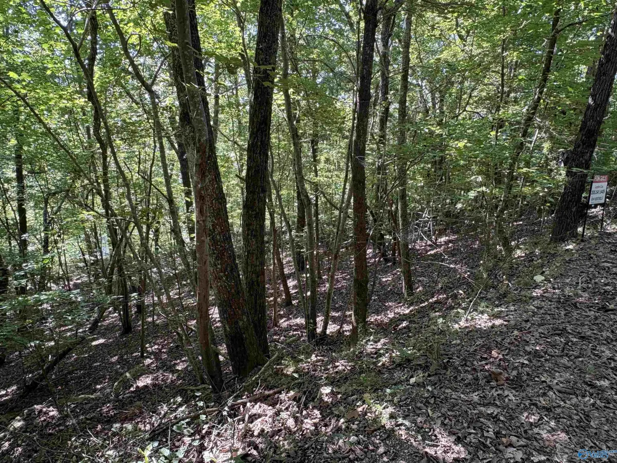 1500 County Road 103 #Lot 81, Mentone, AL 35984 - #1