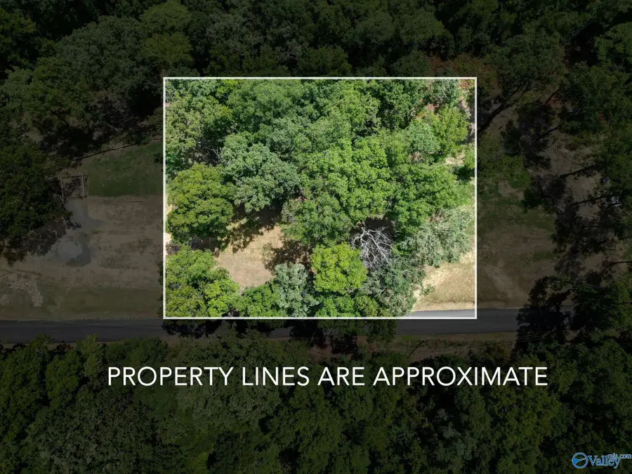 2753 Preston Island Circle, Scottsboro, AL 35769 - #3