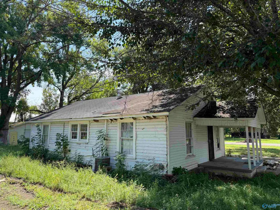 223 Vann Street, Scottsboro, AL 35768 - #2