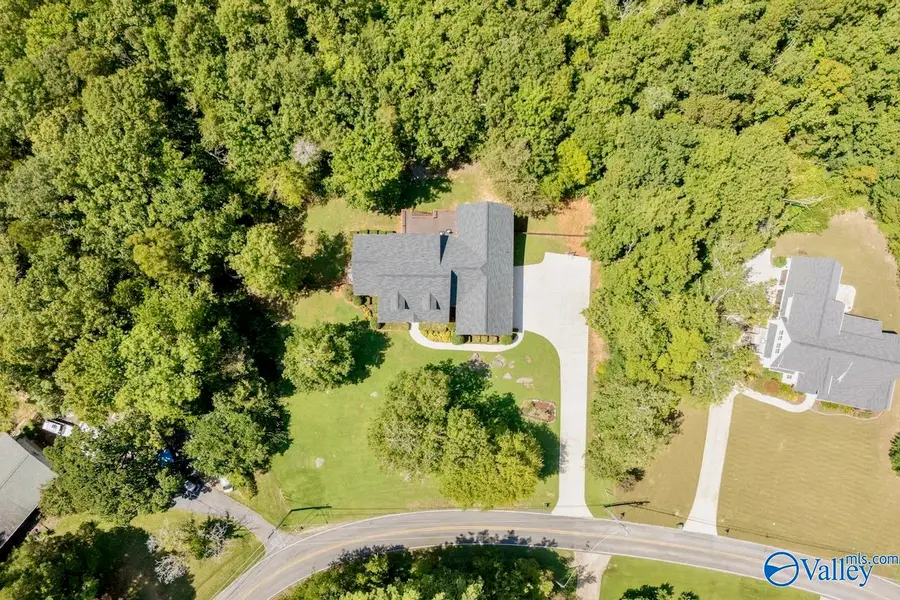 10006 Westleigh Drive, Huntsville, AL 35803 - #3