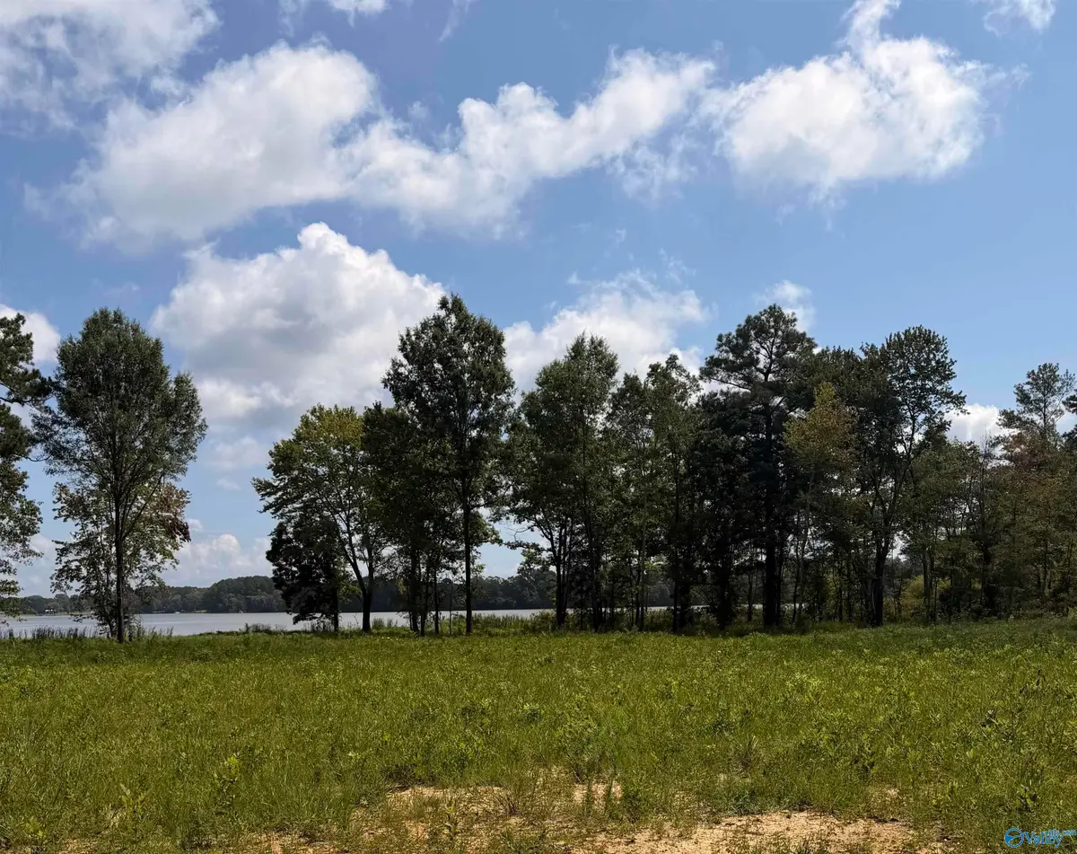 Lot 26 Private Road, Centre, AL 35960 - #1
