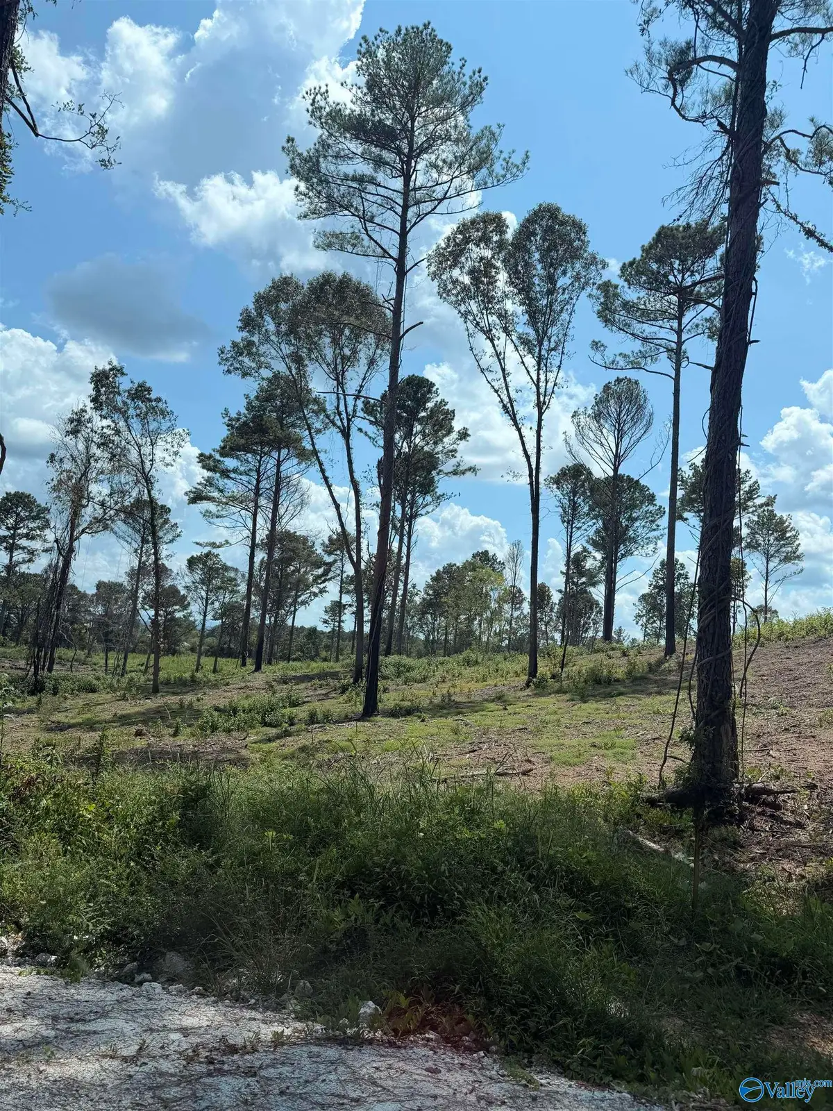 Lot 35 County Road 158, Centre, AL 35960 - #1