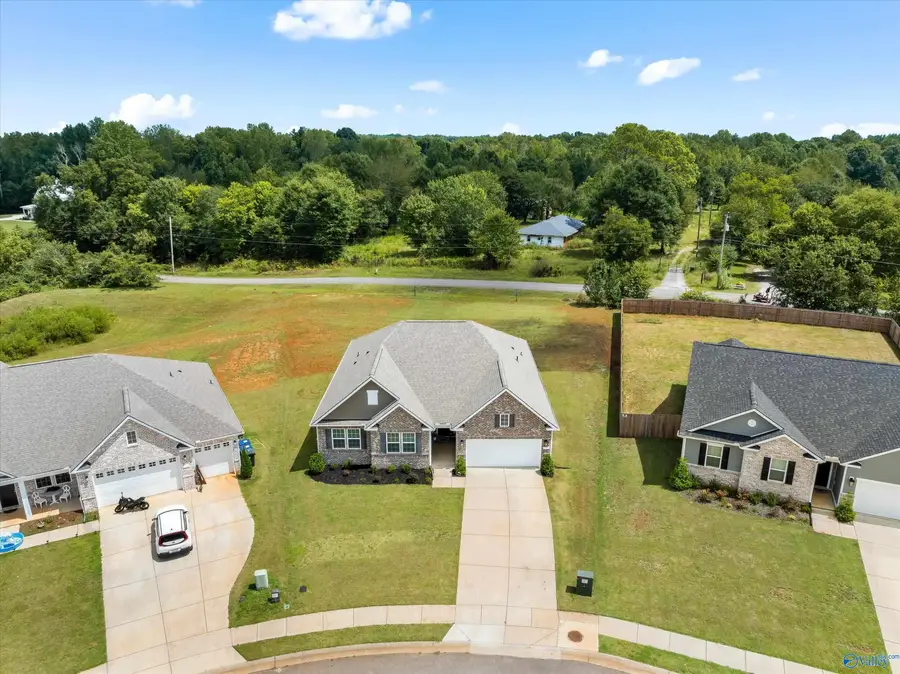 132 Jude Lane, Hazel Green, AL 35750 - #3