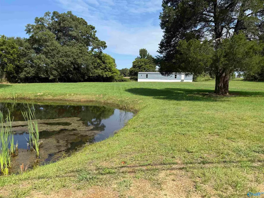 17459 County Road 460, Moulton, AL 35650 - #2