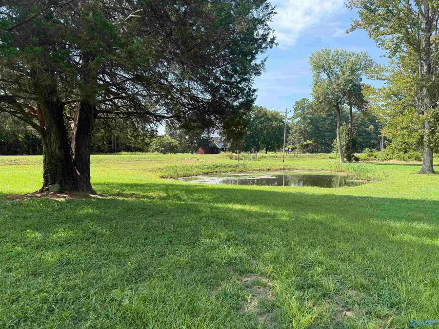17459 County Road 460, Moulton, AL 35650 - #3