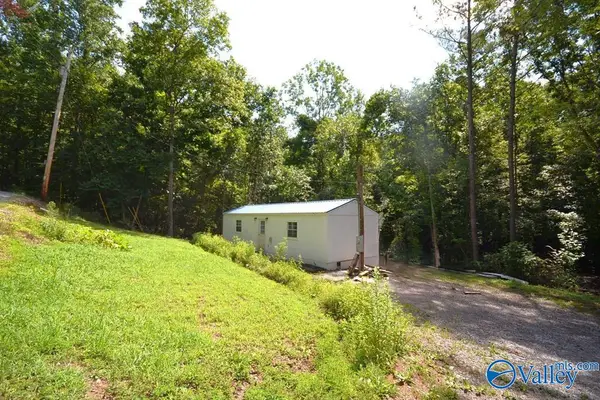 659 County Road 935, Crane Hill, AL 35053