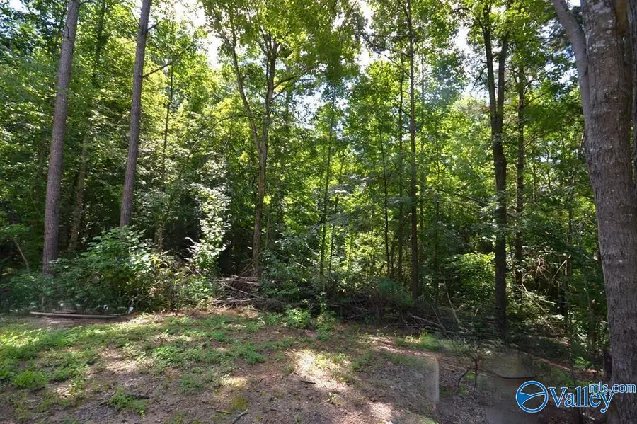 659 County Road 935, Crane Hill, AL 35053 - #2