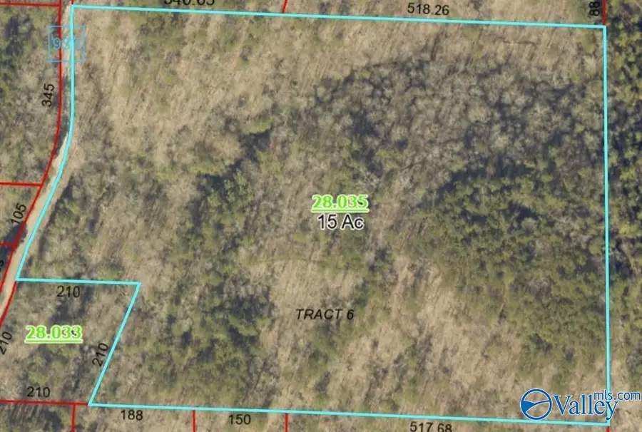 659 County Road 935, Crane Hill, AL 35053 - #3