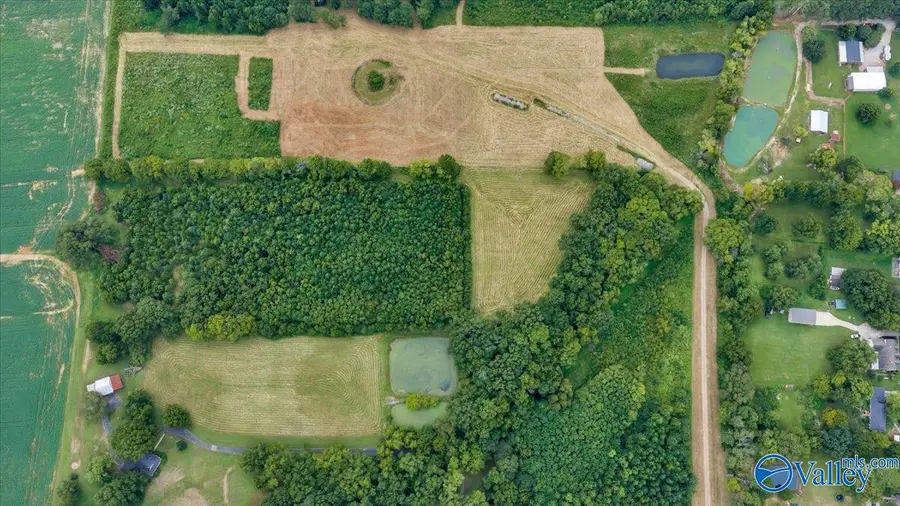 20.3 ACRES Maysville Road, New Market, AL 35761 - #2