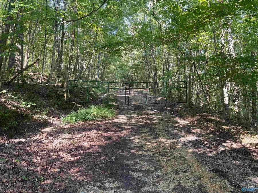 20.5 ac County Road 491, Stevenson, AL 35772 - #2