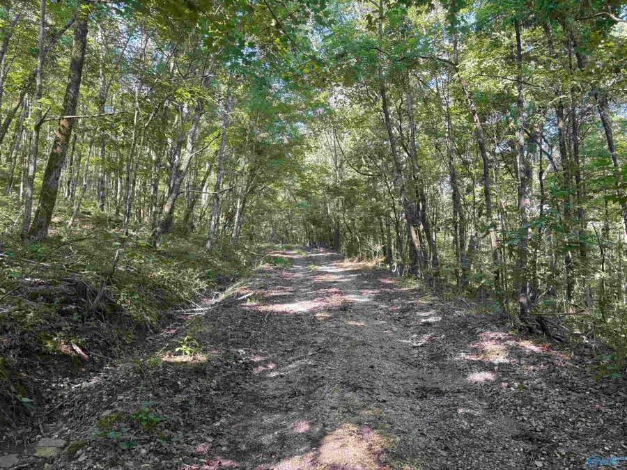 20.5 ac County Road 491, Stevenson, AL 35772 - #3