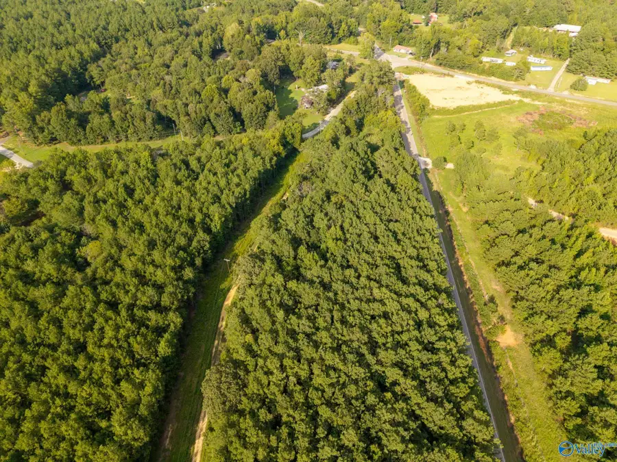 Tract 6 County Road 41, Gaylesville, AL 35973 - #2