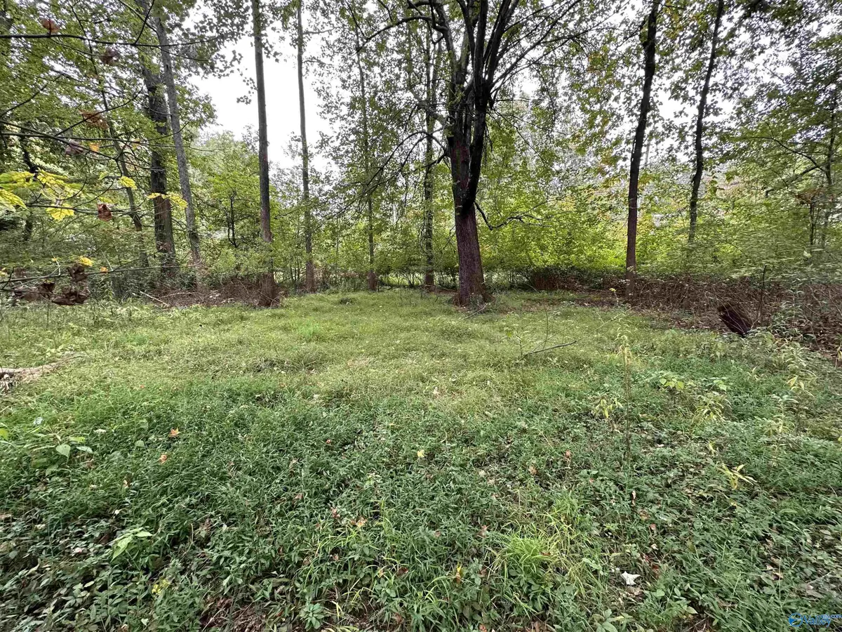 Lot 37 Monte Sano Blvd, Huntsville, AL 35801 - #1