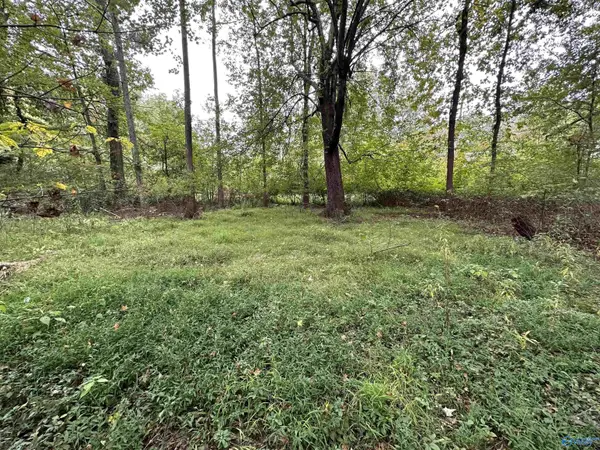 Lot 37 Monte Sano Blvd, Huntsville, AL 35801