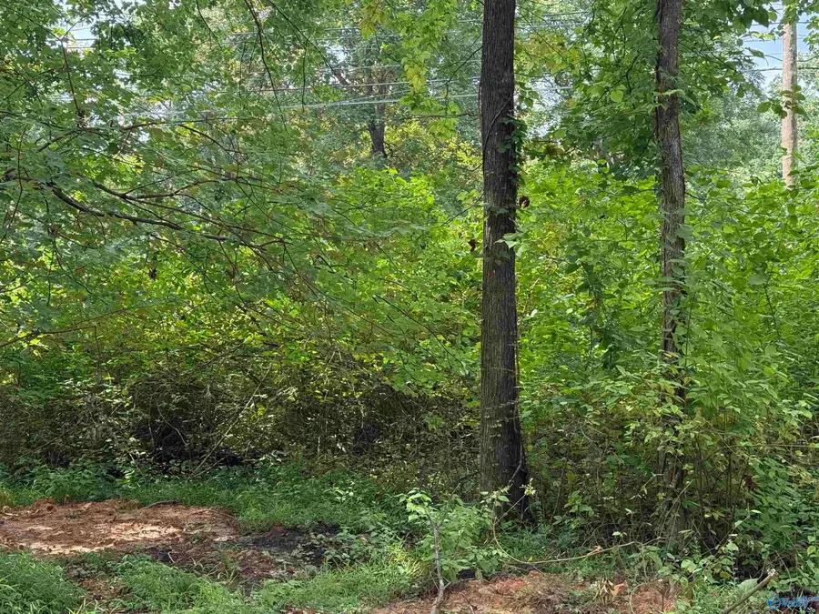 Lot 2 Monte Sano Blvd, Huntsville, AL 35801 - #3