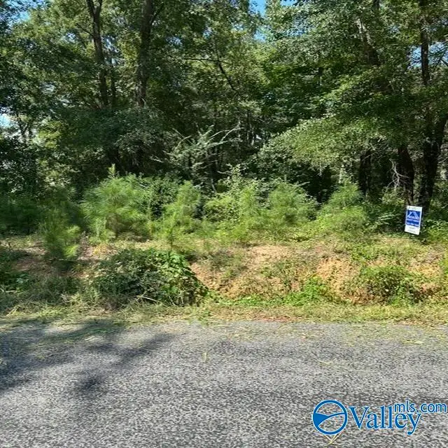 Lot 10 Dry Creek Road, Cleveland, AL 35049 - #1