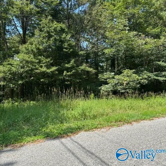 Lot 11 Dry Creek Road, Cleveland, AL 35049 - #1