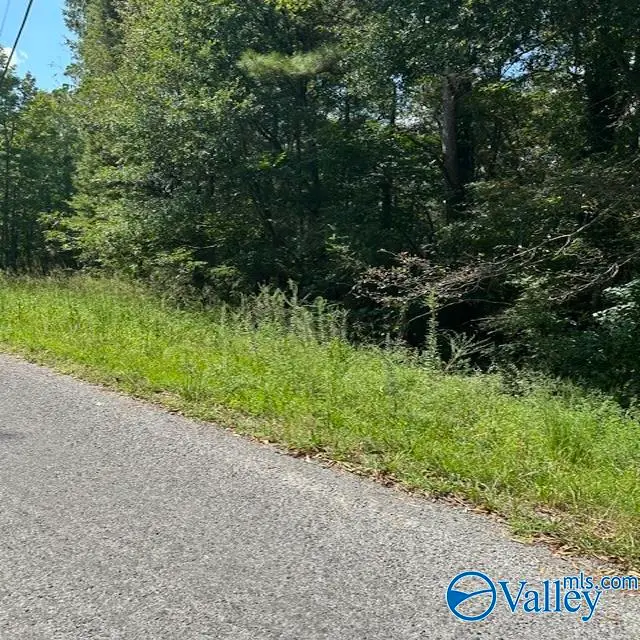 Lot 11 Dry Creek Road, Cleveland, AL 35049 - #3