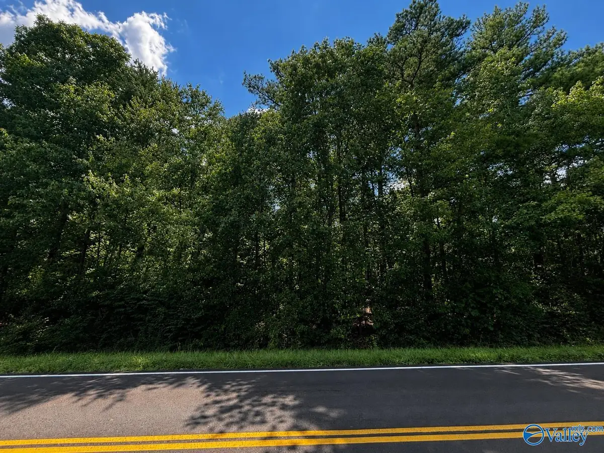1311A Adamsburg Road, Fort Payne, AL 35967 - #1