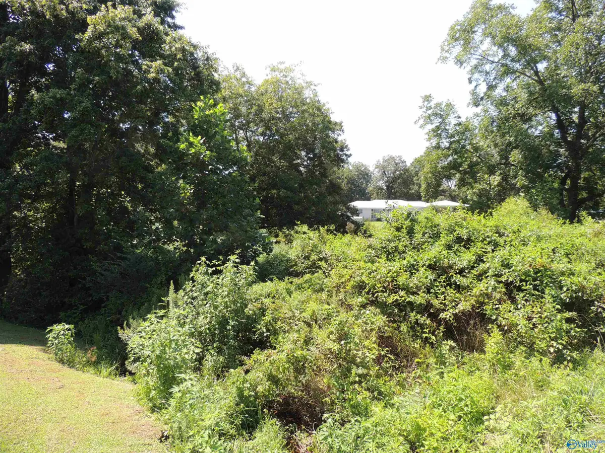 .51 Gaines Street, Crossville, AL 35962 - #1