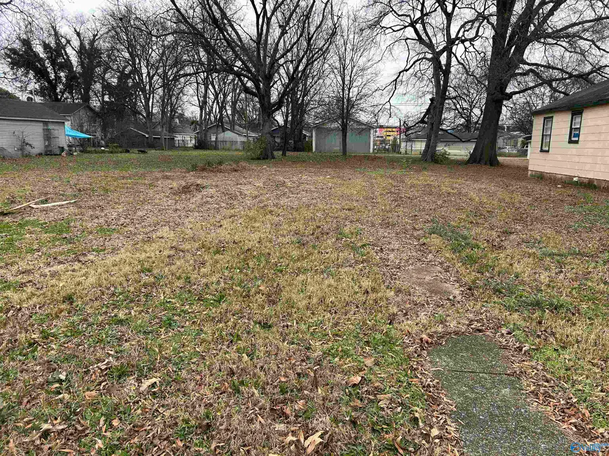 406 Oshaughnessy Avenue, Huntsville, AL 35801 - #1