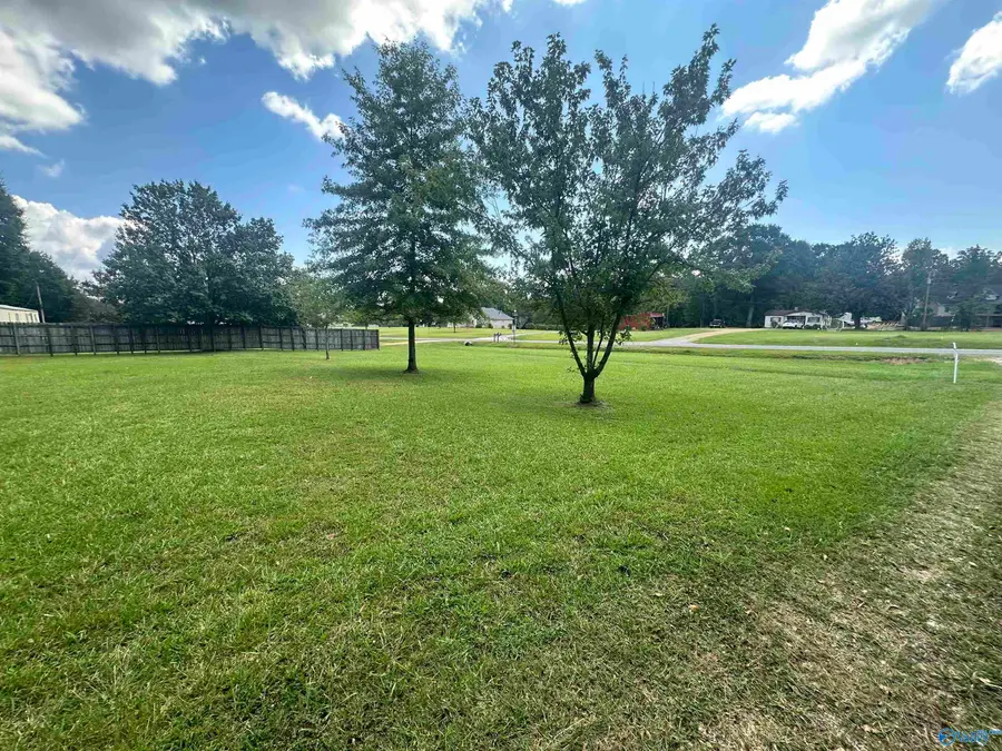 3535 Lookout Street, Leesburg, AL 35983 - #3