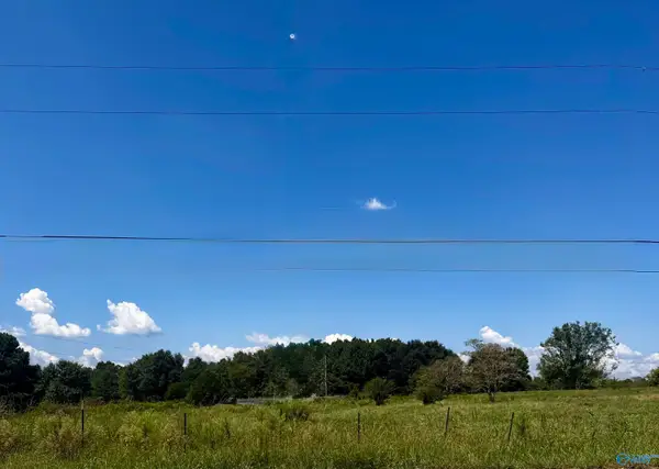 53 acres Ervin Patterson Road, Albertville, AL 35951