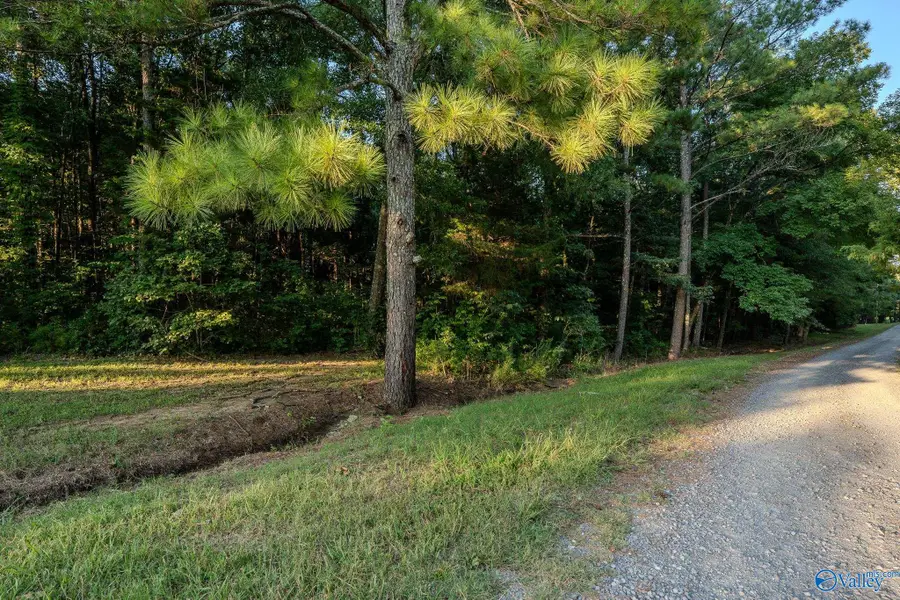 18 acres South Chapel Hill Road, Decatur, AL 35603 - #2