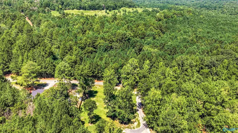 .42 County Road 261, Fort Payne, AL 35967 - #3