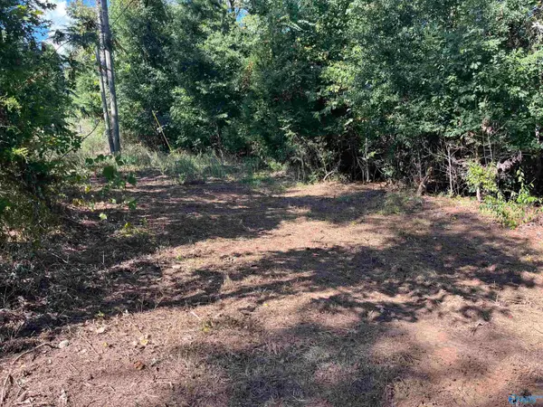 35 ACRES Pine Ridge Road, Union Grove, AL 35175