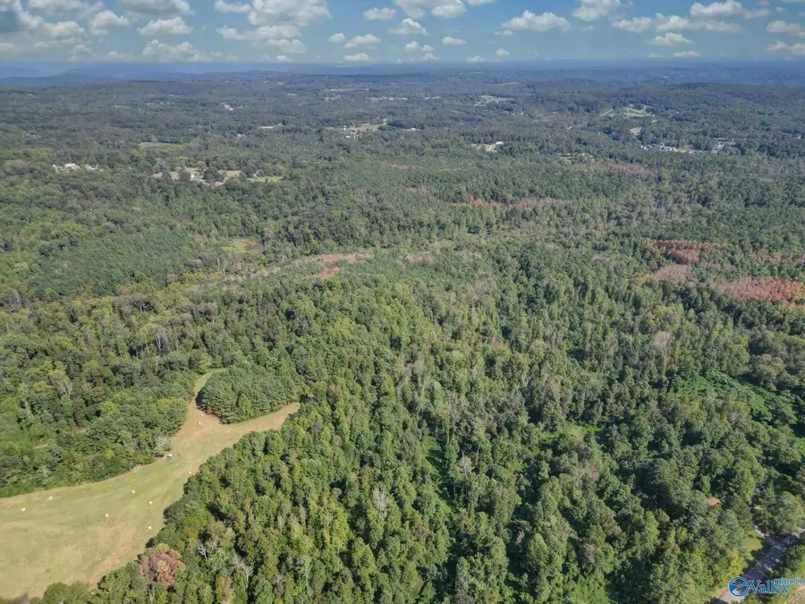 35 ACRES Pine Ridge Road, Union Grove, AL 35175 - #2