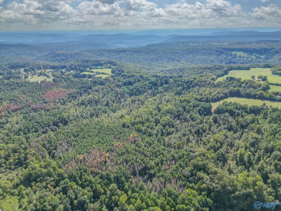 35 ACRES Pine Ridge Road, Union Grove, AL 35175 - #3