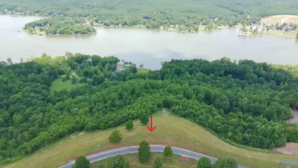 209 County Road 1022, Cedar Bluff, AL 35959