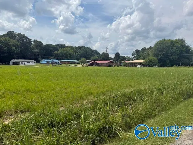 1.13 ACRES 9th Avenue Ne, Gordo, AL 35466 - #3