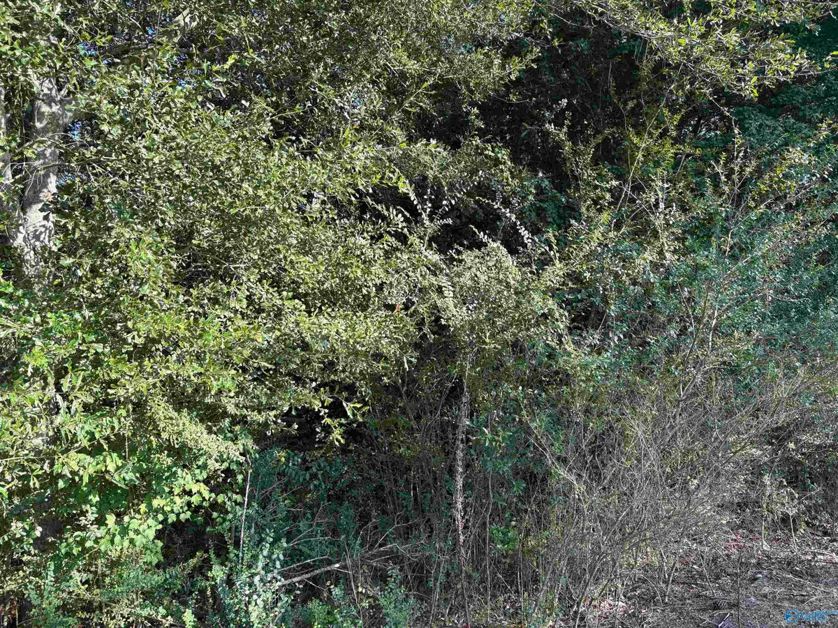 8 ACRES County Road 1196, Cullman, AL 35057 - #1