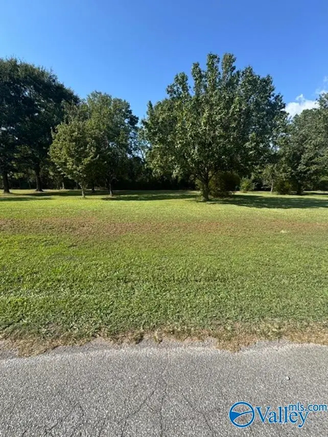 .42 Acre Guthery Avenue, Owens Cross Roads, AL 35763 - #1