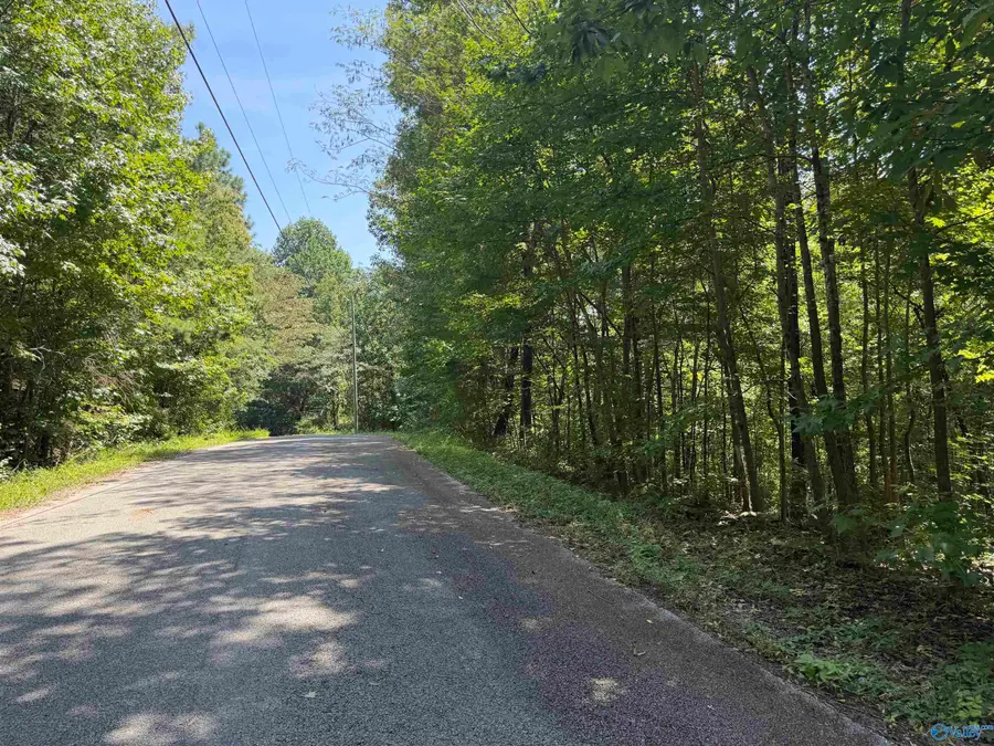 Lot 8 Somerset Chase, Gadsden, AL 35901 - #2