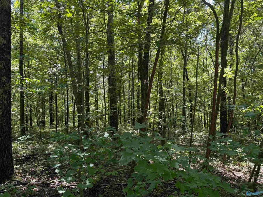 Lot 8 Somerset Chase, Gadsden, AL 35901 - #3