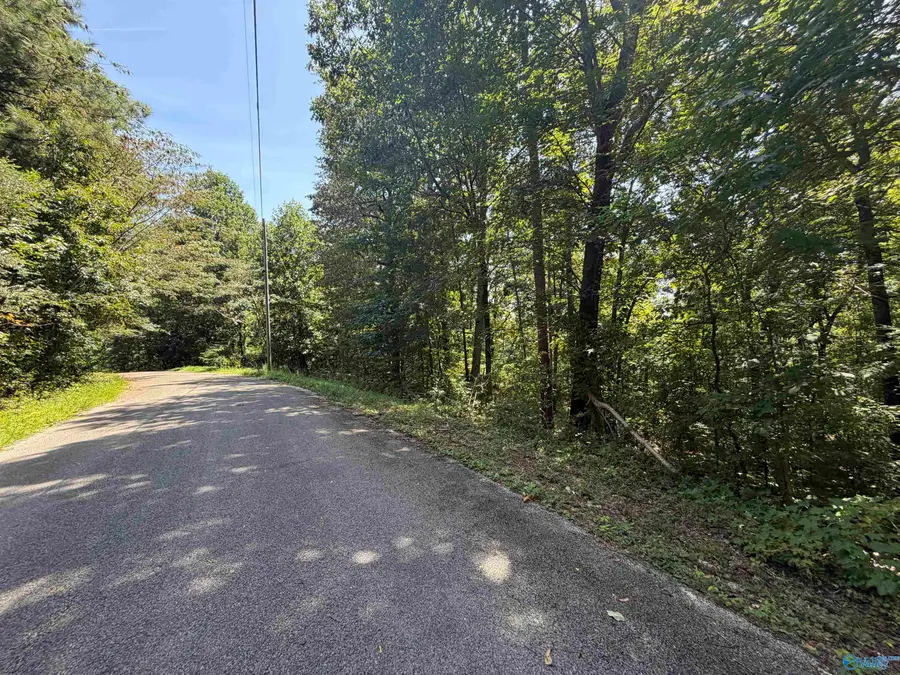 Lot 7 Somerset Chase, Gadsden, AL 35901 - #3