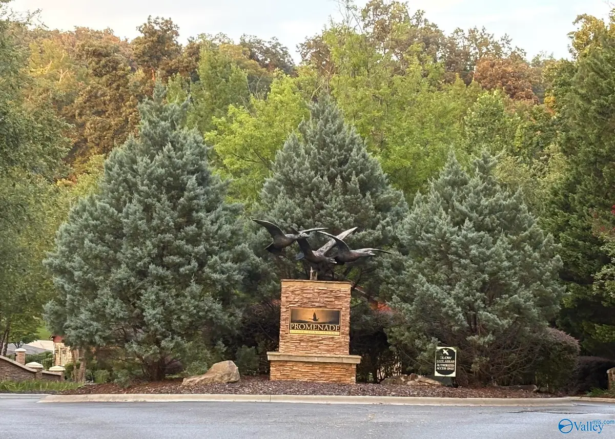 1930 Lookout Mountain Drive, Scottsboro, AL 35769 - #1