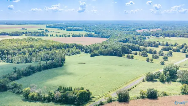 20 Acres County Road 134, Anderson, AL 35610