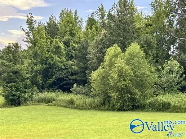 4250 Bennich Road, Decatur, AL 35603