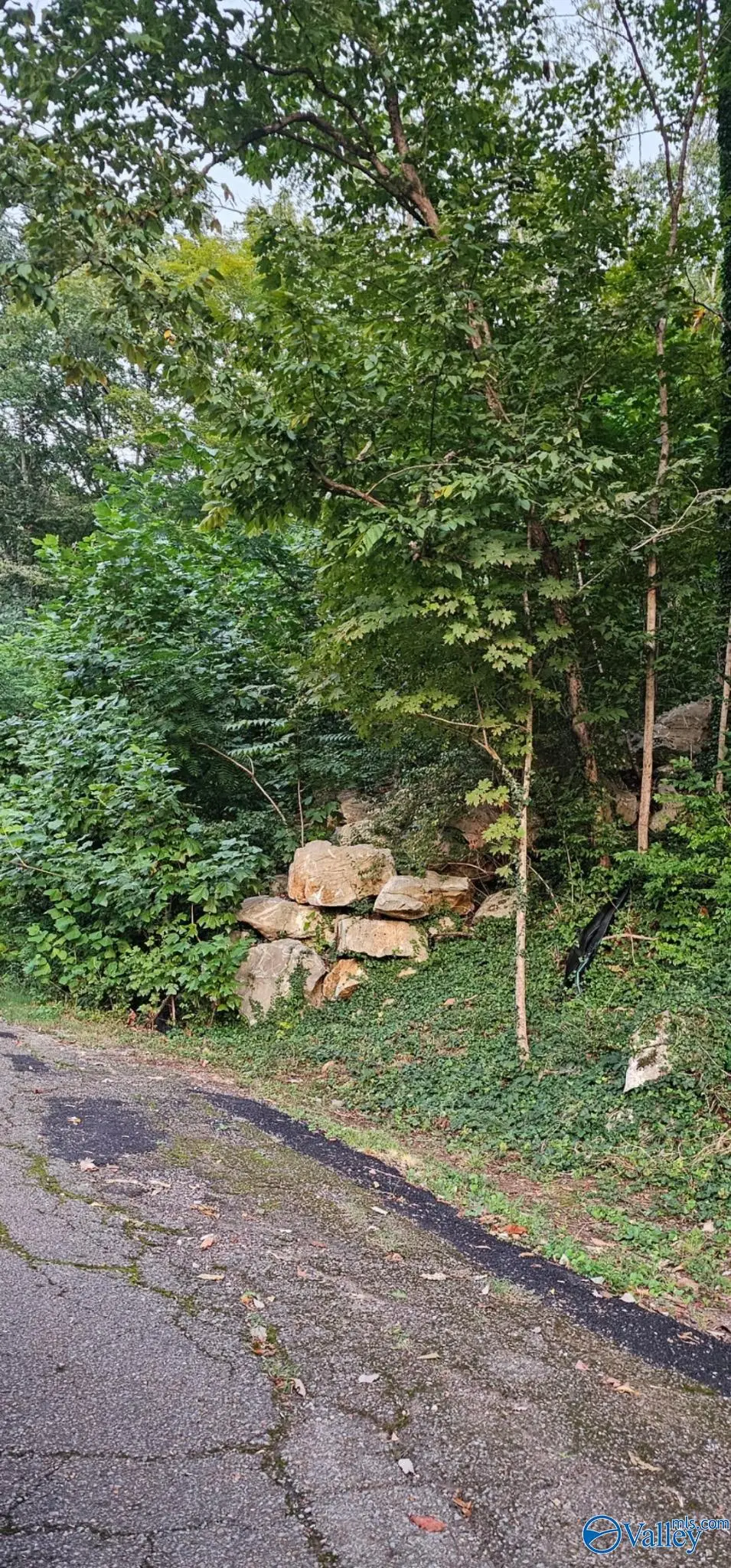 2806 Colice Road Se, Huntsville, AL 35801 - #1