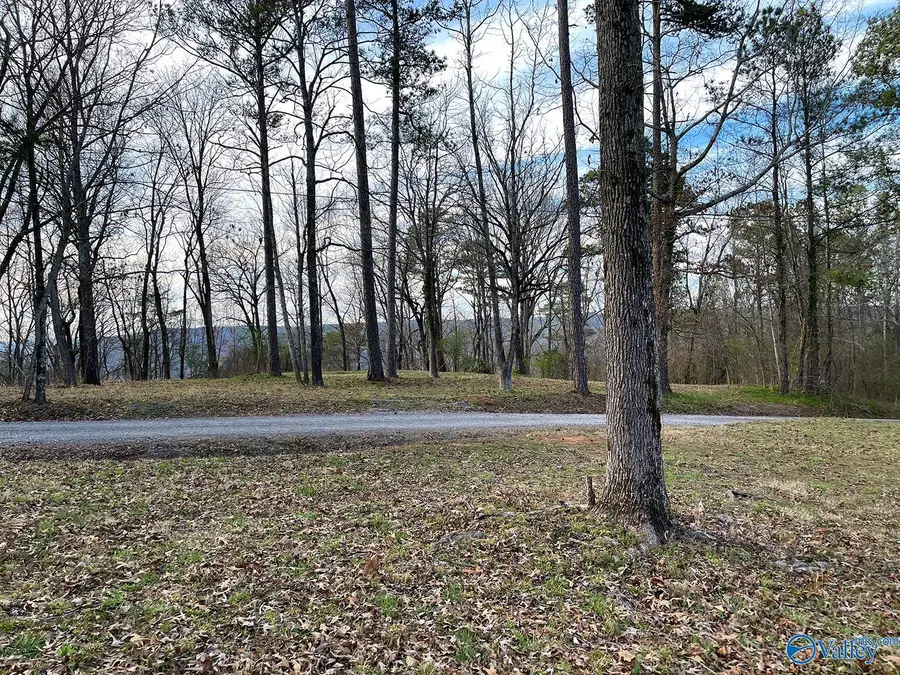 750 Upper Manchester Road, Guntersville, AL 35976 - #3
