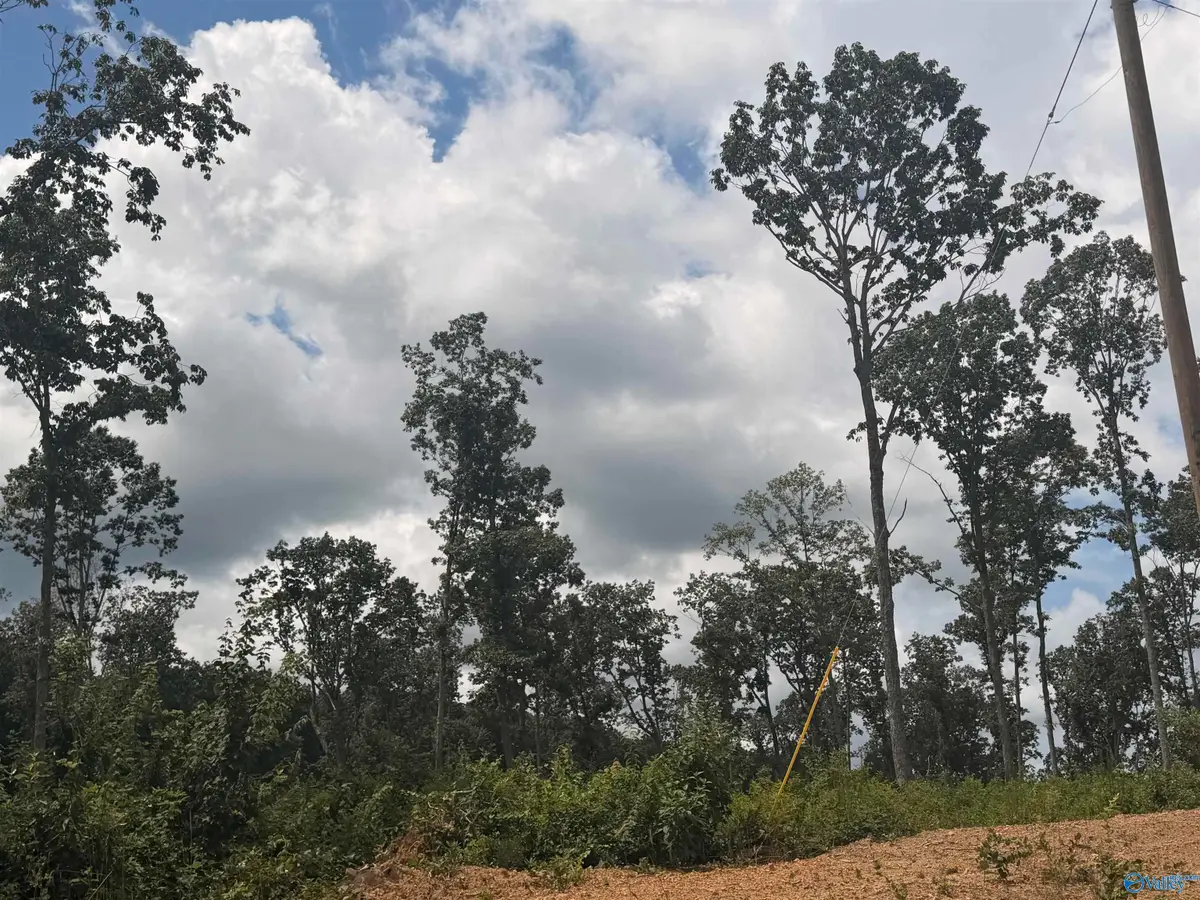 Lot 10 County Road 641, Mentone, AL 35984 - #1
