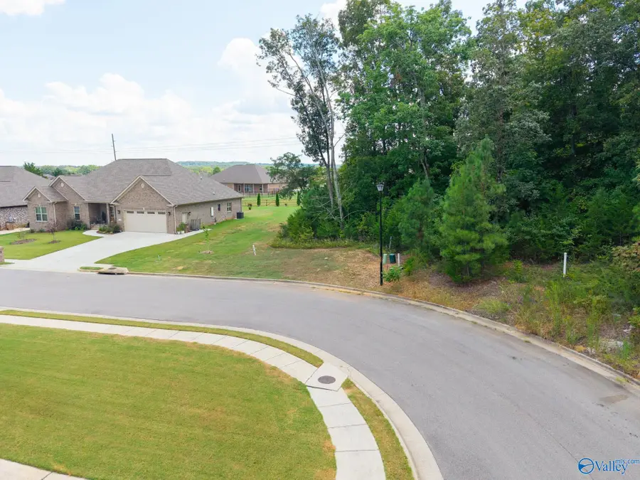 2227 Cameron Street, Decatur, AL 35603 - #2