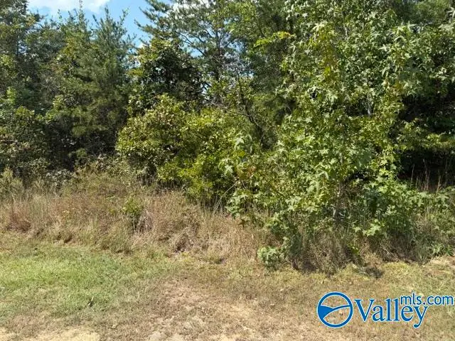 152 County Road 971, Flat Rock, AL 35966 - #3