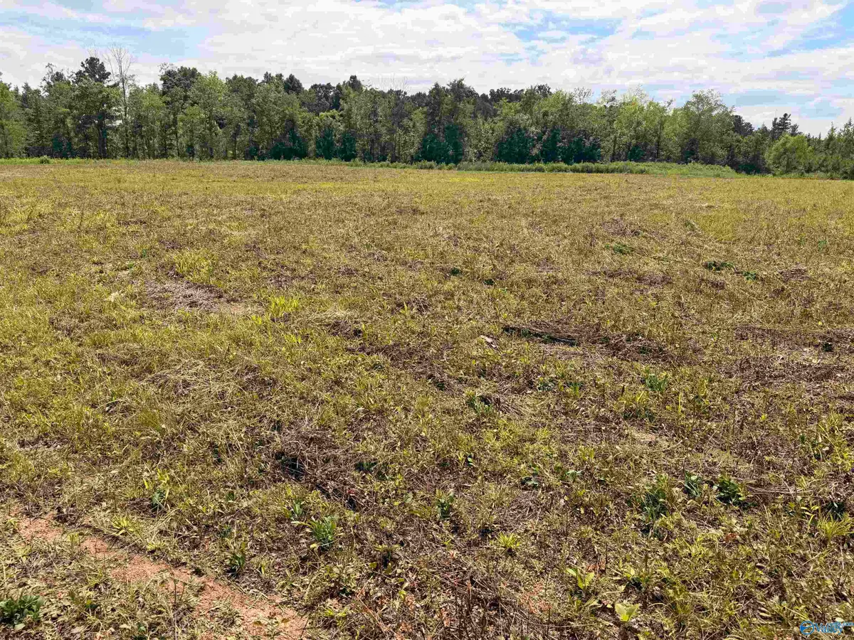 Lot 48 County Road 32, Piedmont, AL 36272 - #1