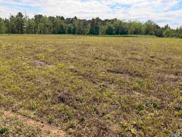 Lot 48 County Road 32, Piedmont, AL 36272