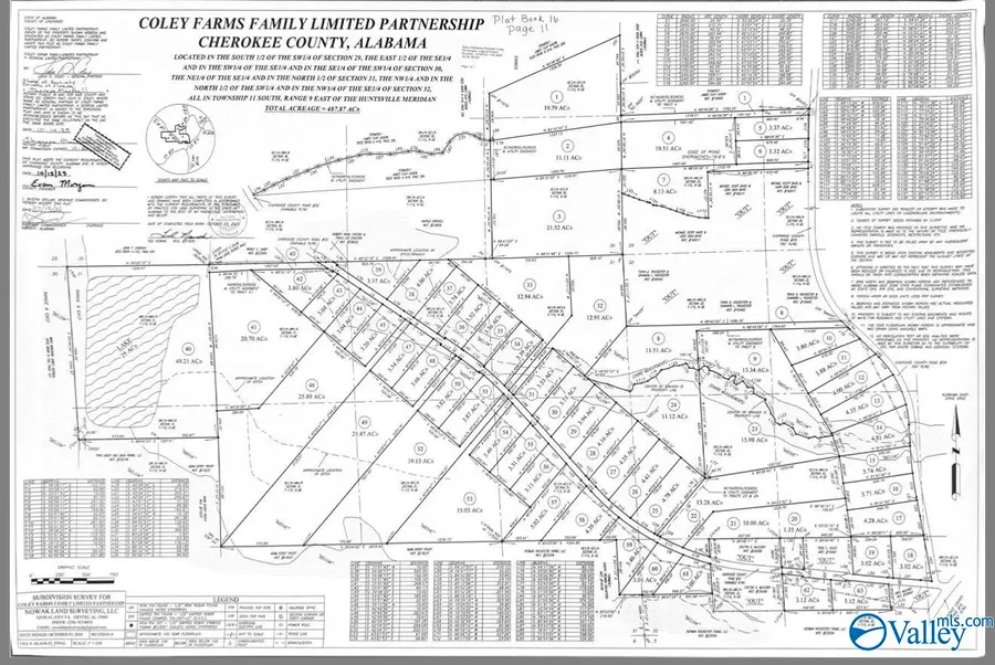Lot 48 County Road 32, Piedmont, AL 36272 - #2